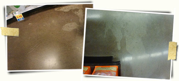 polished concrete floors - repair and maintenance polished concrete